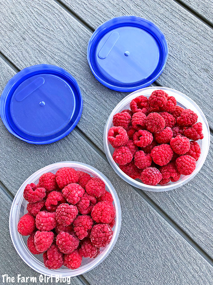 backyard gardening, berry garden, berry gardening, clean eating, freezing homegrown raspberries, gardening blogger, homegrown is the best, homegrown raspberries, How to Freeze and Store Raspberries
